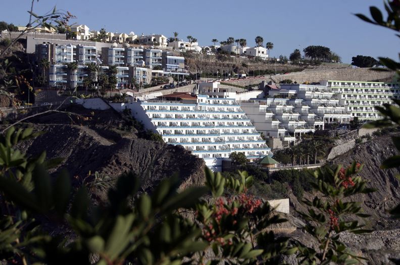 Palmera Mar