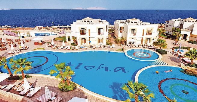 Shores Aloha***